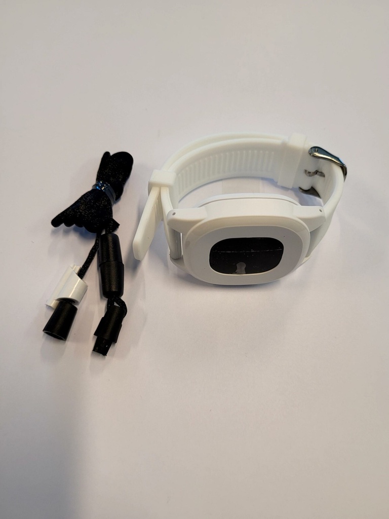 GPT5B-wristband